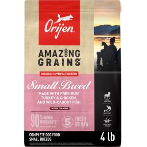 ORIJEN Amazing Grains High-Protein Small Breed Dry Dog Food, 4-lb