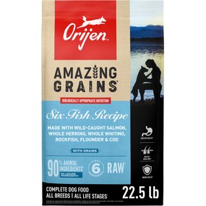 ORIJEN Small Breed Grain-Free High-Protein Dry Dog Food, 10-lb bag