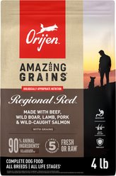 ORIJEN Amazing Grains Regional Red High-Protein Dry Dog Food, 4-lb bag