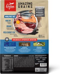 ORIJEN Amazing Grains Original High-Protein Dry Dog Food, 4-lb bag slide 2 of 9