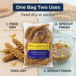 Birds LOVE Economy & Thin Special Tips & Tails Spray Millet Bird Treats, 2.5 to 5-in, 1-lb bag slide 2 of 9