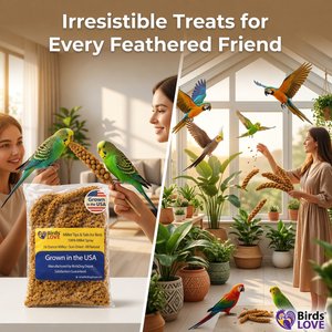 Birds LOVE Economy & Thin Special Tips & Tails Spray Millet Bird Treats, 2.5 to 5-in, 1-lb bag