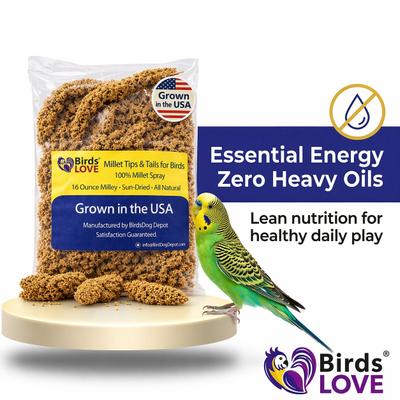 Show full view: Birds LOVE Economy & Thin Special Tips & Tails Spray Millet Bird Treats, 2.5 to 5-in, 1-lb bag slide 7 of 9