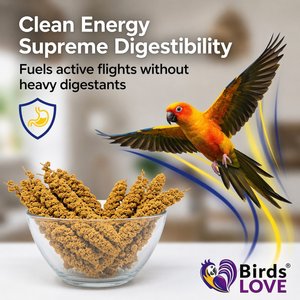 Birds LOVE Economy & Thin Special Tips & Tails Spray Millet Bird Treats, 2.5 to 5-in, 1-lb bag