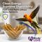 Show in main carousel: Birds LOVE Economy & Thin Special Tips & Tails Spray Millet Bird Treats, 2.5 to 5-in, 1-lb bag slide 6 of 9