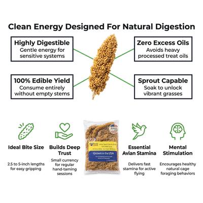 Show full view: Birds LOVE Economy & Thin Special Tips & Tails Spray Millet Bird Treats, 2.5 to 5-in, 1-lb bag slide 9 of 9