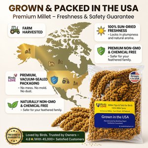 Birds LOVE Economy & Thin Special Tips & Tails Spray Millet Bird Treats, 2.5 to 5-in, 1-lb bag