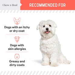 Chew + Heal MSC-Certified Pure Wild-Caught Alaskan Salmon Oil Skin & Coat Supplement for Dogs, 8-fl oz bottle slide 2 of 9