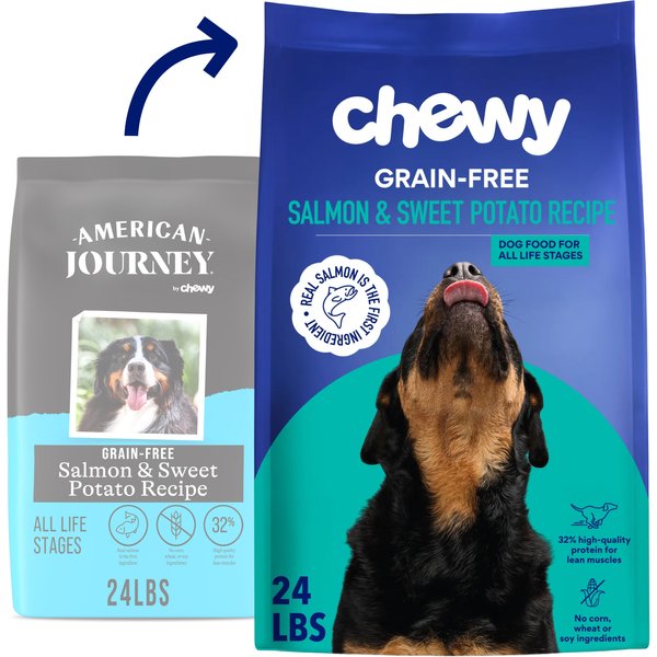 Best Chewy Dry Dog Foods 2026: According to Reviews | Chewy