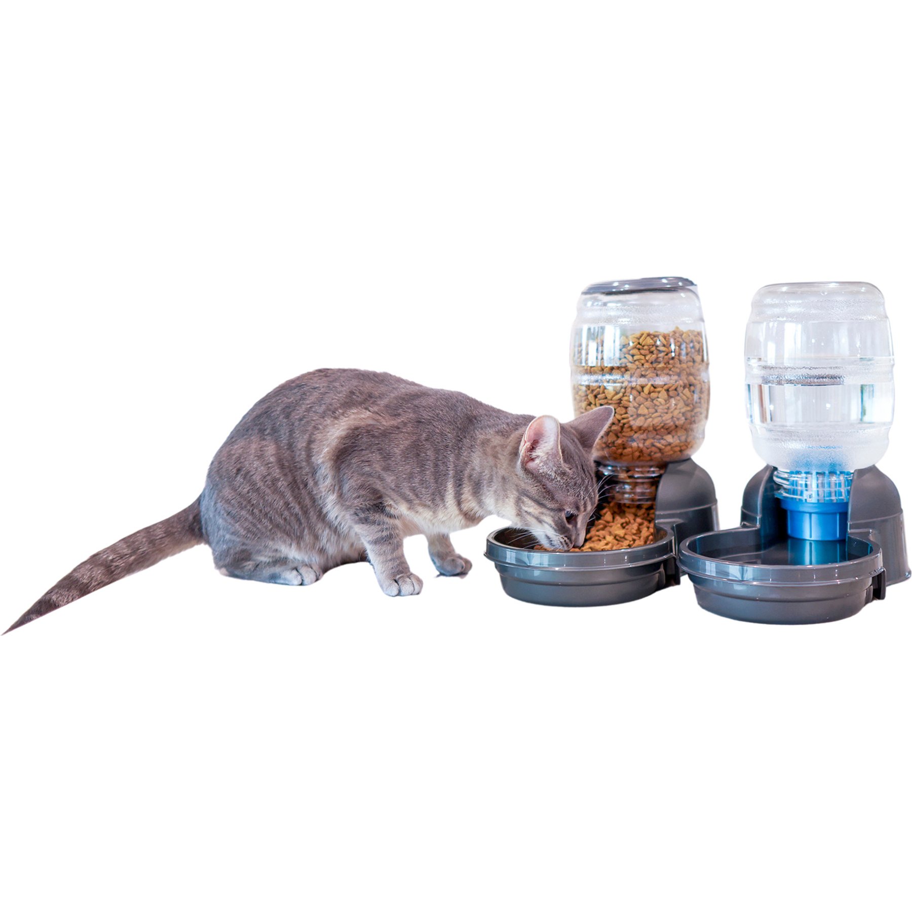 Petmate Replendish Filtered Dishwasher Safe Plastic Cat Waterer & Feeder, Pearl Smoke Gray, 0.5-gal, 5-lb