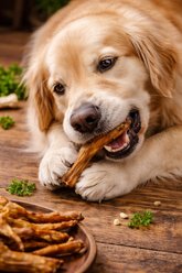 HDP Roasted Poultry Feet Chicken Dog Chew Treats, 250 count slide 2 of 6
