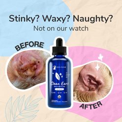 kin+kind Clean Ears Dog Ear Cleanser, 12-fl oz bottle slide 2 of 8