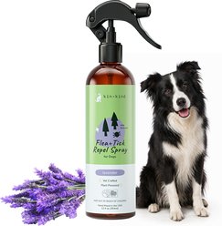 kin+kind Flea+Tick Lavander Repel Spray for Dogs, 12-fl oz bottle