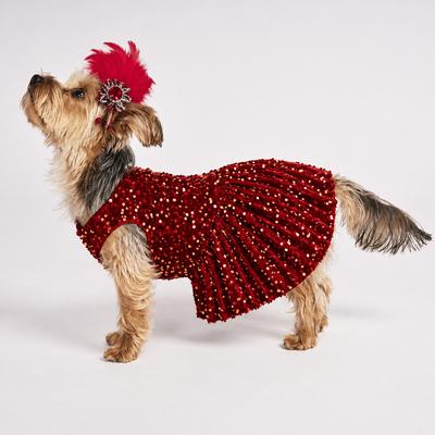 Show full view: Found My Animal Showgirl Dog & Cat Costume, Medium slide 5 of 8