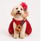 Show in main carousel: Found My Animal Showgirl Dog & Cat Costume, Medium slide 4 of 8