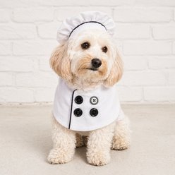 Found My Animal Chef Dog & Cat Costume, Small