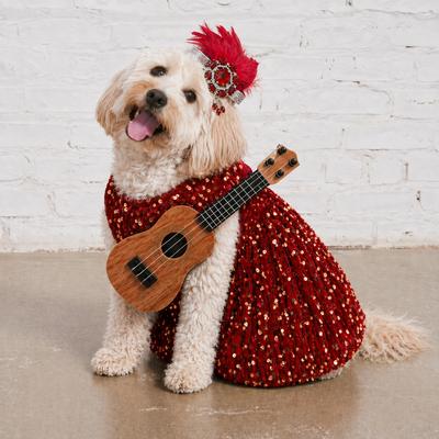 Show full view: Found My Animal Showgirl Dog & Cat Costume, Medium slide 8 of 8