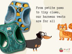 Very Vintage Designs Berry Bestie Eco-Friendly Step-In Vest Dog Harness, Light Blue Multi, Large: 22 to 25-in chest slide 2 of 7