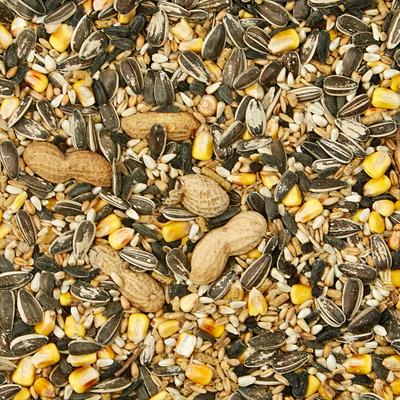 Show full view: Kaytee Supreme Parrot Food, 5-lb bag slide 2 of 6
