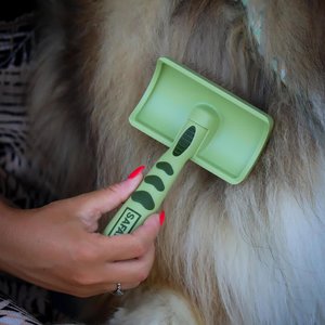 Safari Curved with Coated Tips for Long Hair Dog Firm Slicker Brush, Medium