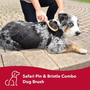 Safari Bamboo Pin & Bristle Combo Dog Brush, Large