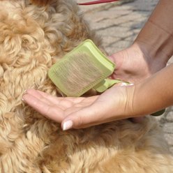 Safari Self-Cleaning Slicker Brush for Dogs, Medium slide 2 of 9