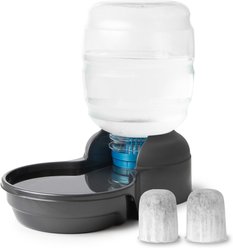 Petmate Replendish Filtered Dishwasher Safe Plastic Dog Waterer with 2 Filter, Pearl Smoke Gray, 4-gal