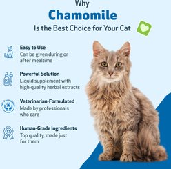 Pet Wellbeing Chamomile Supports Healthy Calm & Digestive Function Bacon Flavored Liquid Supplement for Cats, 2-oz slide 2 of 7