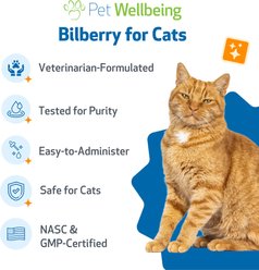 Pet Wellbeing Bilberry Supports Healthy Vision & Capillaries Bacon Flavored Liquid Supplement for Cats, 2-oz slide 2 of 9