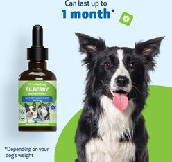 Pet Wellbeing Bilberry Supports Healthy Vision & Capillaries Bacon Flavored Liquid Supplement for Dogs, 2-oz slide 2 of 9