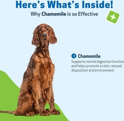 Pet Wellbeing Chamomile Supports Healthy Calm & Digestive Function Bacon Flavored Liquid Supplement for Dogs, 2-oz slide 2 of 7