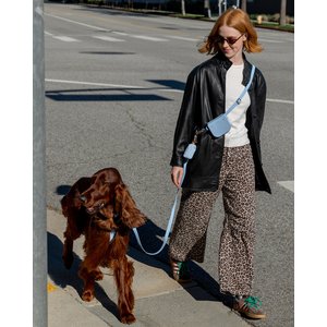 Sunny Tails 4-in-1 Convertible Hands Free Cloud Dog Leash, 8.5-ft long, 5/8-in wide, Malibu Blue