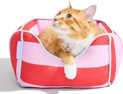 Wild One Machine Washable Bolster Cat Bed, Bubblegum Pink