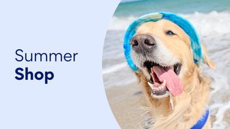 Summer Shop