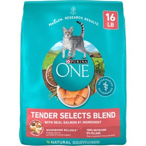 Purina ONE Tender Selects Blend with Real Salmon Dry Cat Food, 16-lb bag