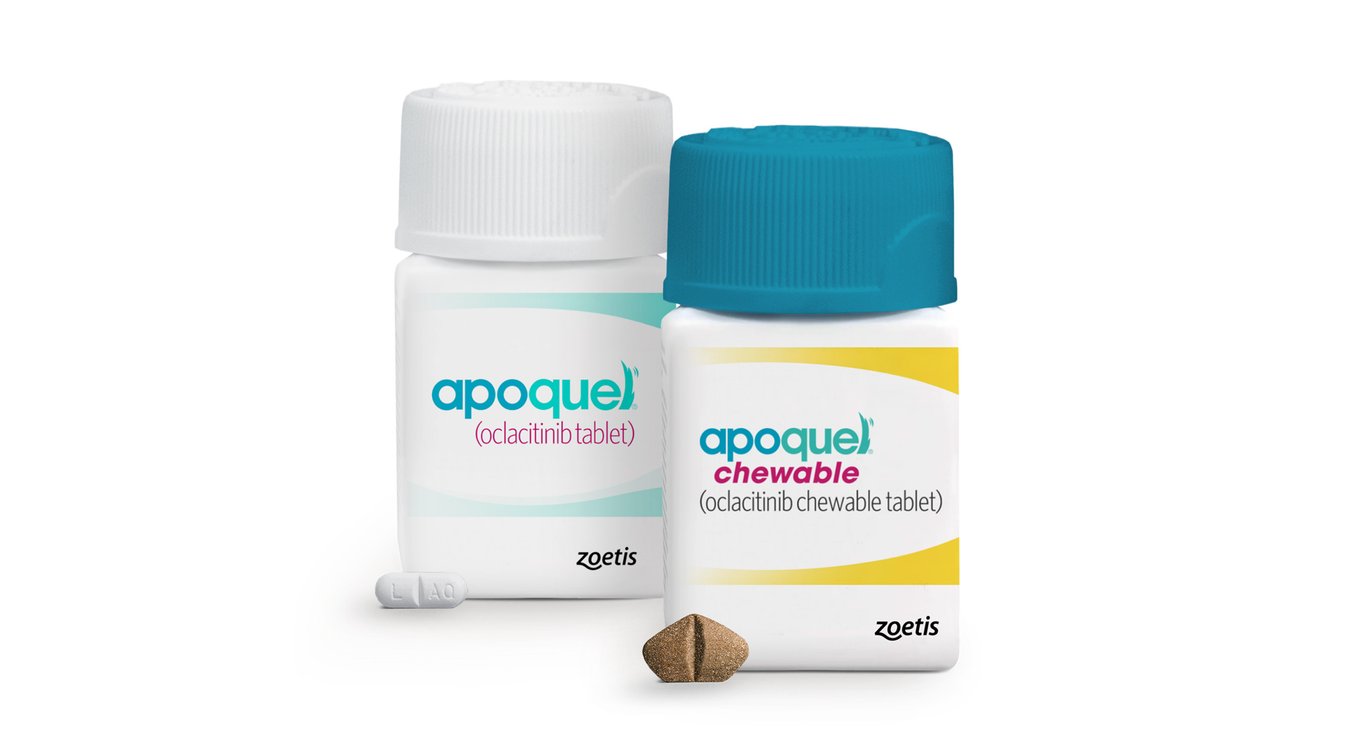 APOQUEL (oclacitinib CHEWABLE tablet) CHEWABLE for Dogs, 5.4mg, 60