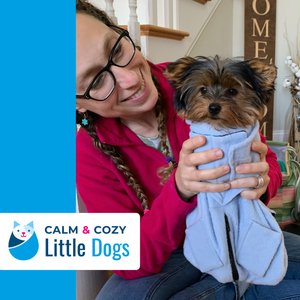 Calm & Cozy Cat Wrap Pro, Medium, Turquoise
