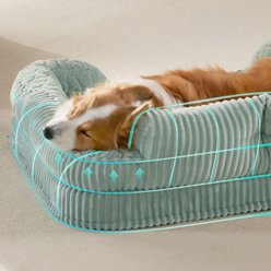 EHEYCIGA Memory Foam Orthopedic Furniture Style Sofa Dog Bed with Removable Cover, 42 x 30 x 7.5-in, Green slide 2 of 9