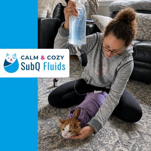 Calm & Cozy Cat Wrap Pro, Medium, Grey