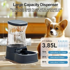 Gardner Pet Stainless Steel Bowls Water Dispenser, Gravity, with Filter BPA-Free Polypropylene Dog & Cat Waterer, 1-gallon, Grey