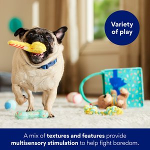 Frisco Celebration Bag Bear Variety Pack Dog Toy, X-Small/Small, 7 count