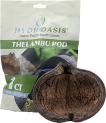 HydrOasis Thelambu Pod Fish Plant