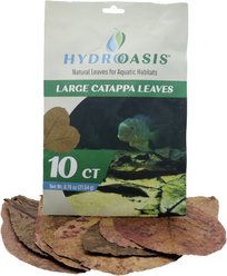 HydrOasis Catappa Leaves Large Fish Plant, 10 count