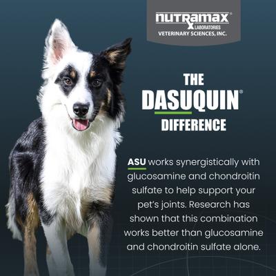 Show full view: Nutramax Dasuquin Hip & Joint Soft Chews Joint Supplement for Small & Medium Dogs, 84 count slide 7 of 11