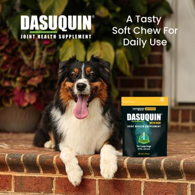 Show full view: Nutramax Dasuquin Hip & Joint Soft Chews Joint Supplement for Small & Medium Dogs, 42 count slide 5 of 11