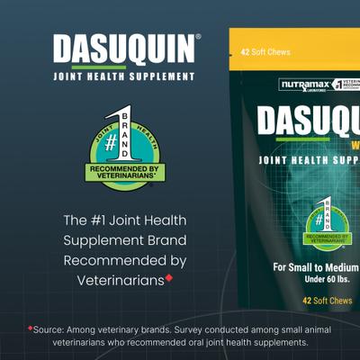 Show full view: Nutramax Dasuquin Hip & Joint Soft Chews Joint Supplement for Small & Medium Dogs, 42 count slide 4 of 11