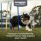 Show in main carousel: Nutramax Dasuquin with MSM Hip & Joint Soft Chews Joint Supplement for Large Dogs, 42 count slide 3 of 12