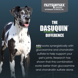 Nutramax Dasuquin with MSM Hip & Joint Soft Chews Joint Supplement for Large Dogs, 150 count