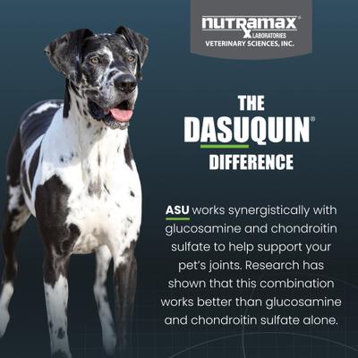 Show full view: Nutramax Dasuquin with MSM Hip & Joint Soft Chews Joint Supplement for Large Dogs, 150 count slide 7 of 12