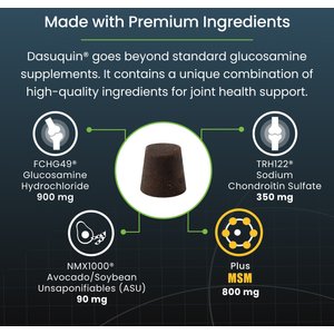 Nutramax Dasuquin with MSM Hip & Joint Soft Chews Joint Supplement for Large Dogs, 150 count